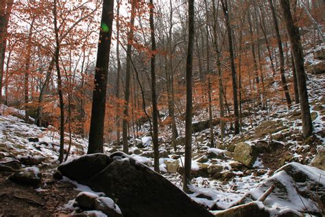 Ozark National Forest Trails - Arklahoma Hiker