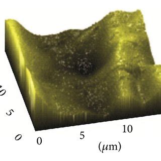 Change Of Cu Morphology Upon Electropolishing A C AFM Images For