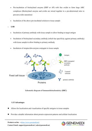 GeneMedi S Protocol Procedure For The Diagnostics Application