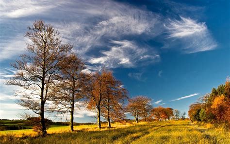 Wallpaper Sunlight Trees Landscape Nature Grass Sky Field