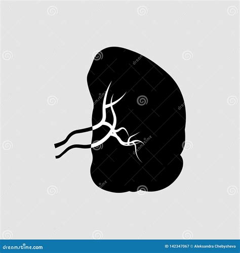 Spleen Icon Human Internal Organs Stock Illustration Illustration Of