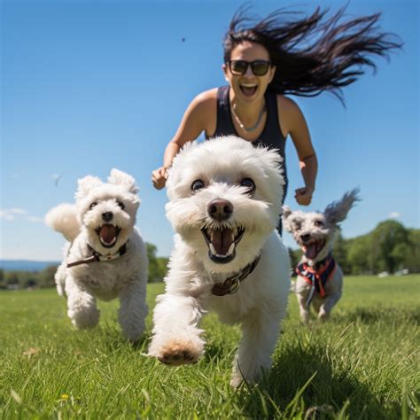 The Best Allergy-Friendly Dogs for Pet Lovers - Best4Pets