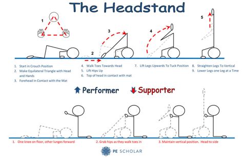 Headstand Reciprocal Resource Card Pe Scholar