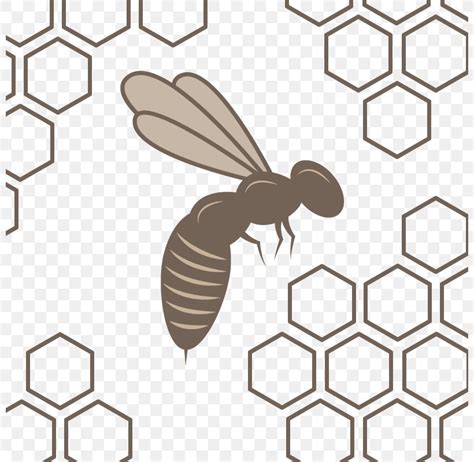 Honeycomb Vector Free