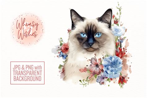 Berman Cat Floral Watercolor Clip Art Graphic By Whimsyandwishes