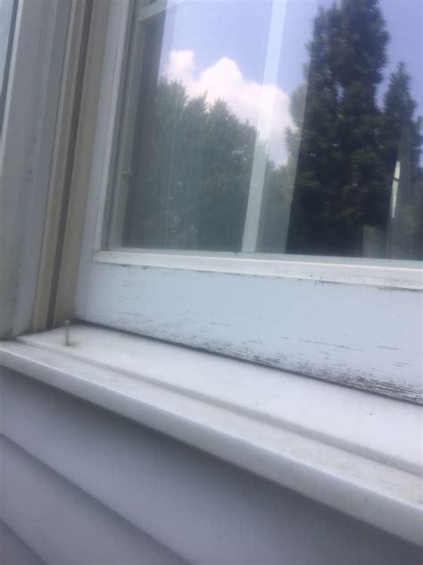 how to clean a window 2