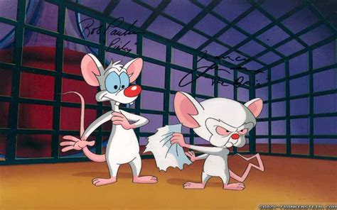 🔥 80 Pinky And The Brain Wallpapers Wallpapersafari