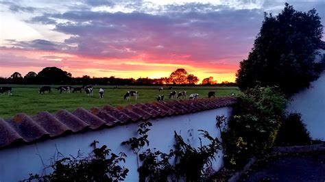 miltons hotel home page special offers guest reviews