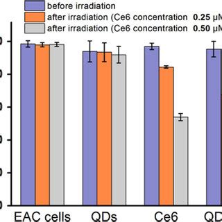 Cellular Uptake Of Qds Ce And Qdce Confocal Pl Images Of Cells