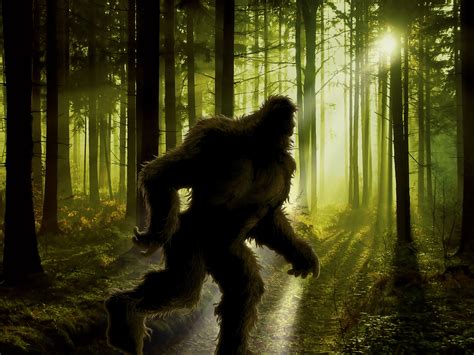 Bigfoot Mystery Town Usa