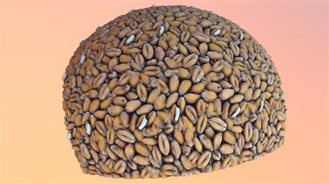 Seamless Wheat Grain Texture Download Free 3d Model By Arthurzim