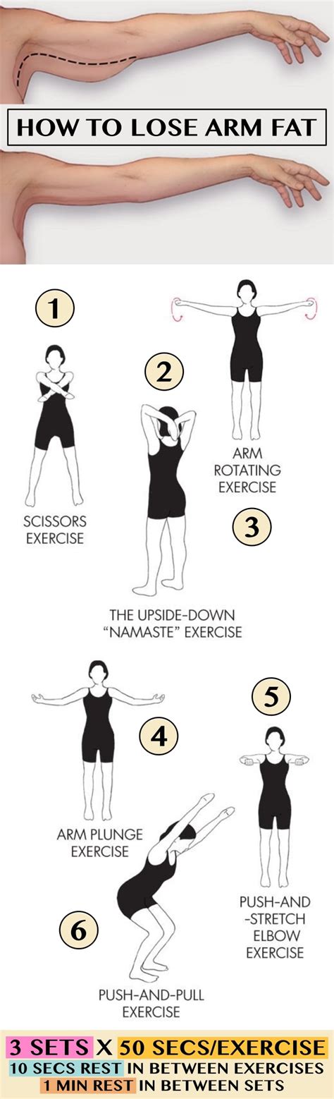 Easy Exercises To Lose Arm Fat Online Degrees