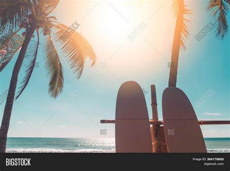 Surfboard Palm Tree On Image Photo Free Trial Bigstock