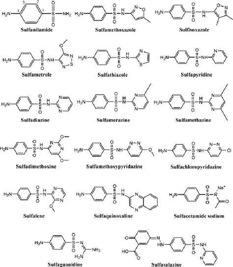 Structures Of Several Sulfonamide Antimicrobial Drugs Download