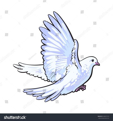 Free Flying White Dove Sketch Style Vector Illustration Isolated On