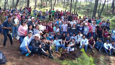 Casas Del Estudiante En Uruapan Reforestan El Cerro De La Charanda