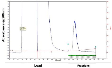 Mers Cov E Protein Elution Profile Following Imac Affinity Download Scientific Diagram