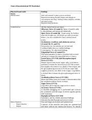 Ms Neuro Pe Worksheet Docx Neuro Musculoskeletal Pe Worksheet