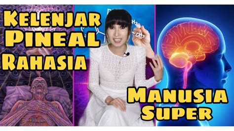 Kelenjar Pineal Kunci Rahasia Manusia Super Youtube