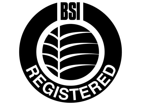 BSI Logo PNG Transparent Logo - Freepngdesign.com