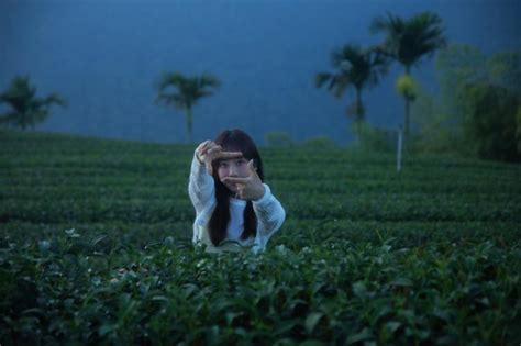 蔡佩軒「連人帶琴」阿里山取景 腳滑險摔進樹叢 音樂 噓！星聞