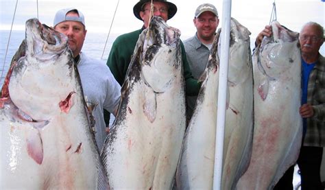 Homer Alaska Fishing Charter Halibut Fishing Cod Fishing