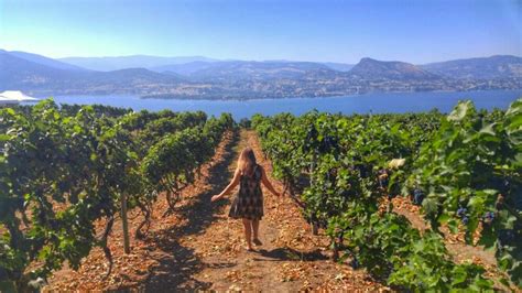 A Walking Wine Tour Of The Naramata Bench British Columbia