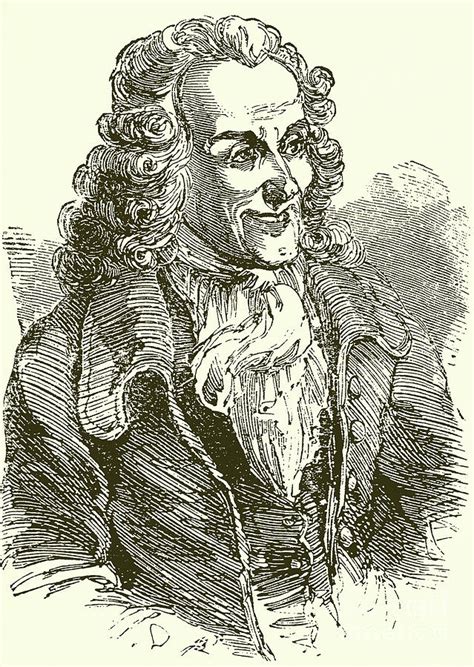 Voltaire Engraving Drawing By English School Pixels