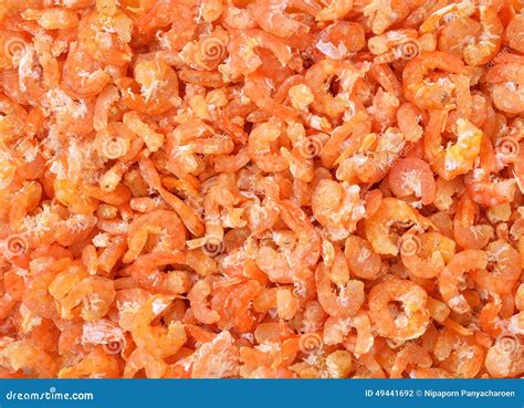 Dried Shrimp Background Stock Photo Image