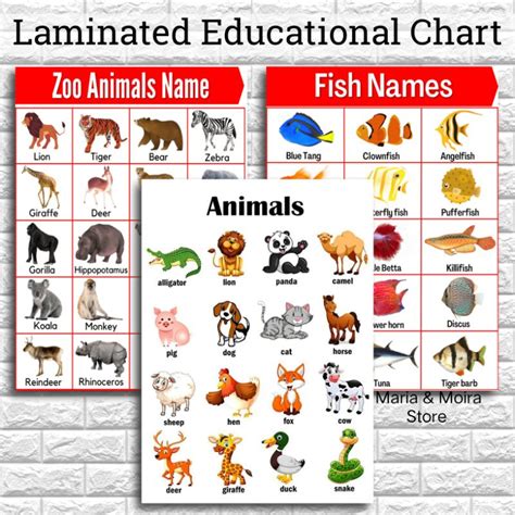 ANIMALS Educational Laminated Wall Chart | A4 Size | Animals Chart ...