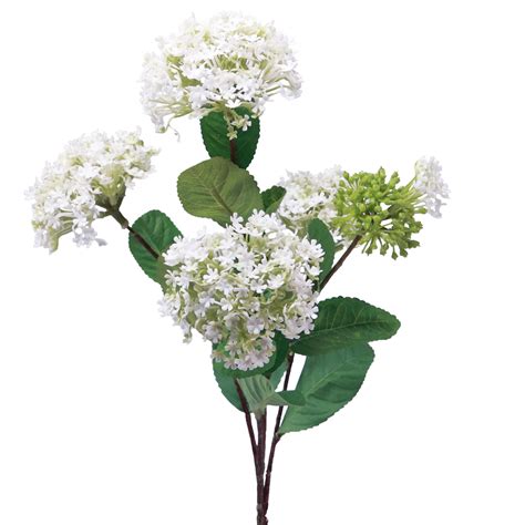 Floristik24 dk Kunstig blomster snebold plante Virburnum hvid Ø8cm 64cm