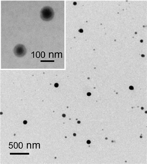 Figure 3 From Selenium Bio Nanocomposite Based On Alteromonas Macleodii