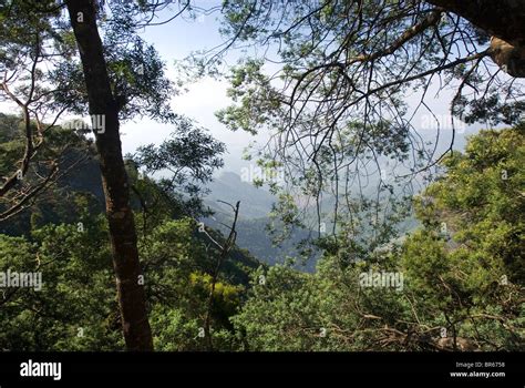 Hill station kodaikanal hi-res stock photography and images - Alamy