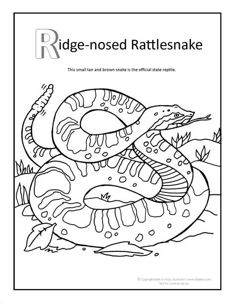 Ridge Nosed Rattlesnake Coloring Page