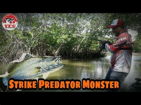 Mancing Bareng Berburu Si Ikan Predator YouTube