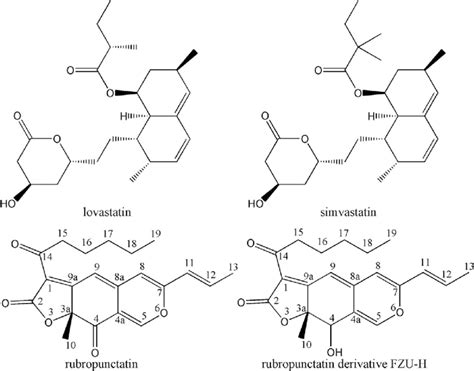 Chemical Structures Of Lovastatin Simvastatin Rubropunctatin And