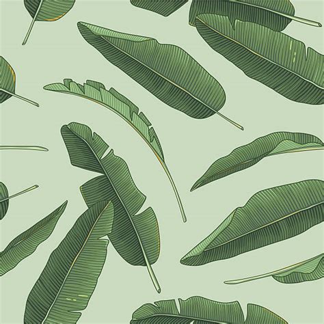 18900 Banana Leaf Pattern Ilustrasi Grafik Vektor And Clip Art Bebas