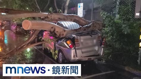 大雨狂下雙北災情多 路樹倒塌砸車傷人｜ 鏡新聞 Youtube