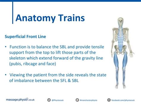 Myofascial Release Presentation Ppt