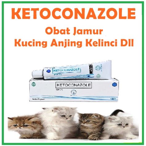 Jual Ketoconazole Cream Obat Salep Scabies Jamur Luka Hewan Kucing