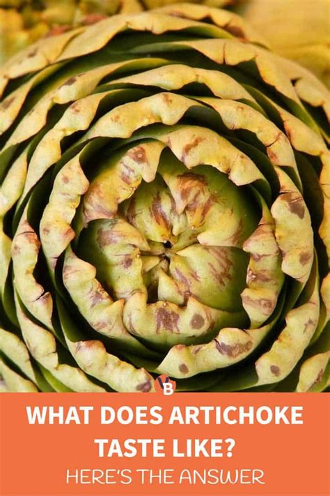 What Does Artichoke Taste Like How To Get The Most Bang Out Of Yours