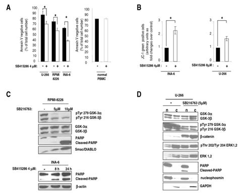 Gsk Inhibition Causes Mm Cell Apoptosis And Disruption Of The