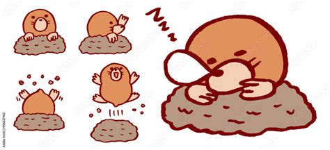 stock vector adobe stock