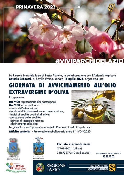 Giornata Di Avvicinamento Allolio Extravergine Di Oliva A Posta