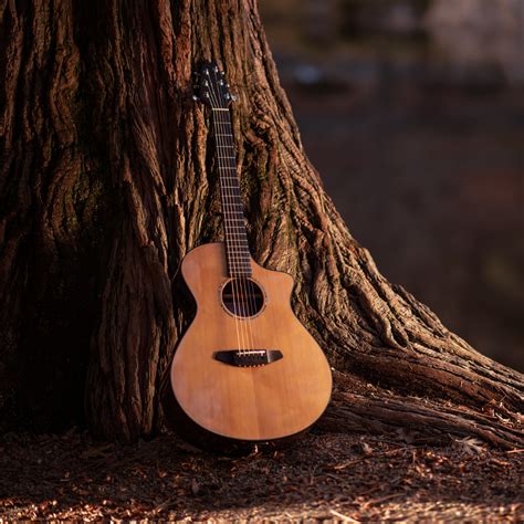 integrating acoustic instruments  lofi  mystic alankar