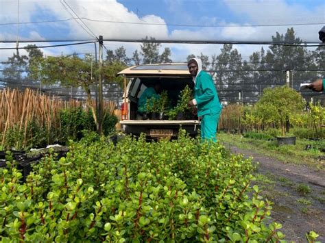 7 Ways African Leaders Are Restoring Their Landscapes AFR100