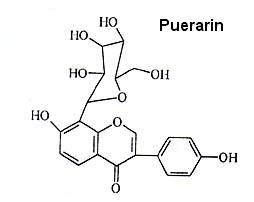 Puerarin 98% - Sinobest Inc.