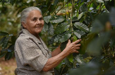 Comprometidas con la agricultura las mujeres boricuas Diálogo UPR