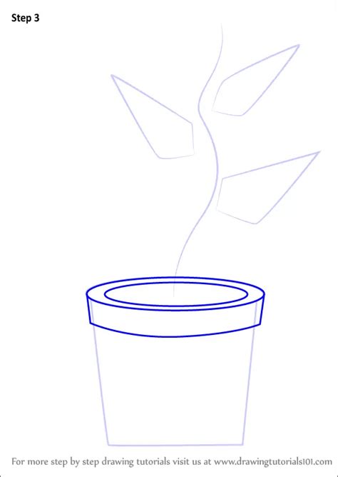 Step By Step How To Draw Plant In Pot Drawingtutorials