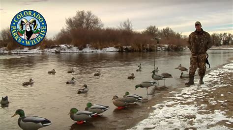 How To Rig Duck Decoys